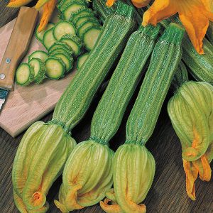Courgette Romanesco Vegetable Seeds