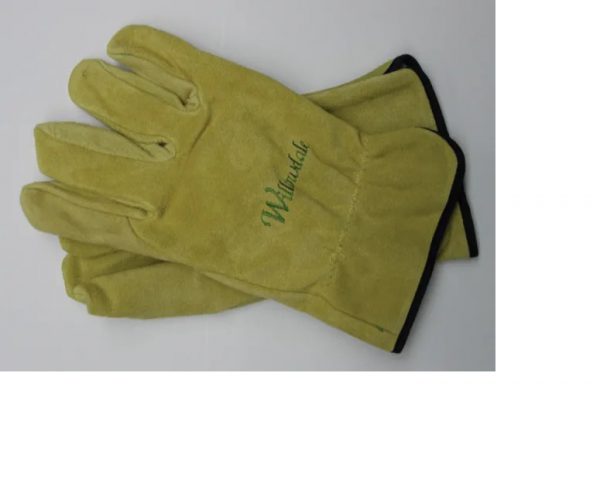 Kent Thornproof Pruning Gloves Mens Size Mens