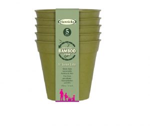 Haxnicks Bamboo Pot 4in Sage Green x 5