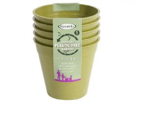 Haxnicks Bamboo Pot 5in Sage Green x 5
