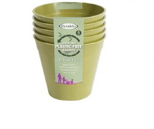 Haxnicks Bamboo Pot 6in Sage Green x 5