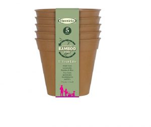 Haxnicks Bamboo Pot 3in Terracotta x 5