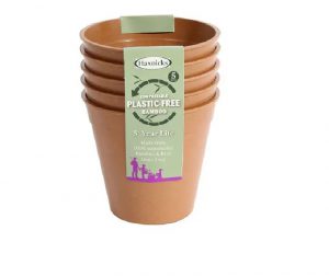 Haxnicks Bamboo Pot 5in Terracotta x 5