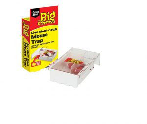 STV Multi Mouse Live Catch Trap