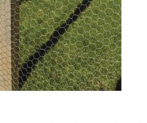 ApolloGardening Galvanised Wire Netting 900mm x 50mm x 5m