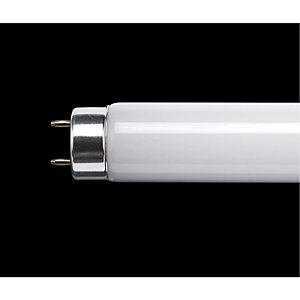 4ft T8 Fluorescent Tube