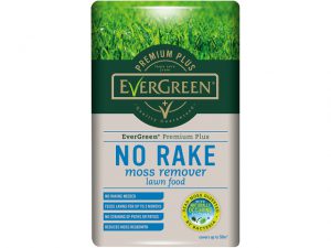 Levington Evergreen Premium + No Rake Moss Remover + Feed 5kg