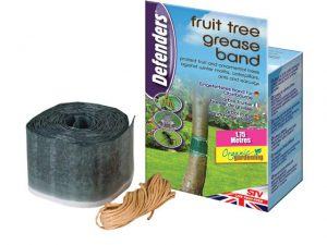 STV Fruit Tree Grease Band 1.75m