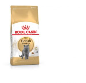 Royal Canin British Shorthair Adult Dry Cat Food 400g
