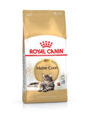 Royal Canin Maine Coon Dry Cat Food 400g