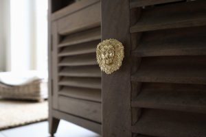 Drawer Knob Brass Lion