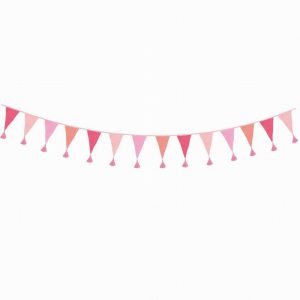 Bunting Pink 3m