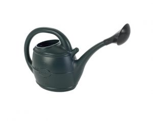 Ward Watering Can with Rose 5L Green