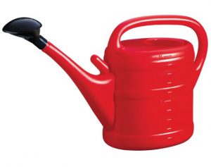 GreenWash Essential Watering Can Red 10L