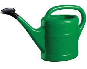 GreenWash Essential Watering Can Green 5L