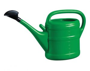 GreenWash Essential Watering Can Green 10L