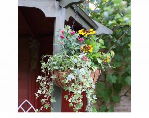 SmartGarden Smart Hanging Basket 14 inch