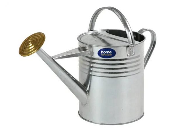 HomeHardware Watering Can Galvanised 2 Gallon
