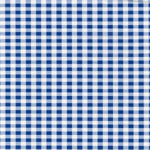 Fablon- Blue Gingham (450mm x 2m)