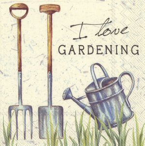 Napkin I Love Gardening x20