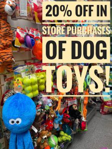 20% off dog toys!