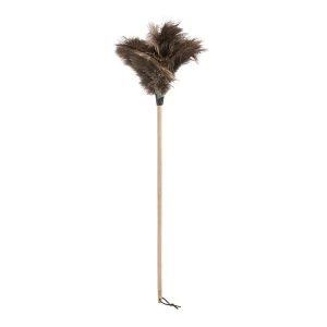Ostrich Feather Duster Beech Handle