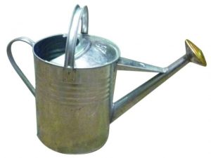 Galvanised Metal Watering Can 9 litres