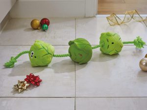 Zoon Tugga Sprouts Dog Toy
