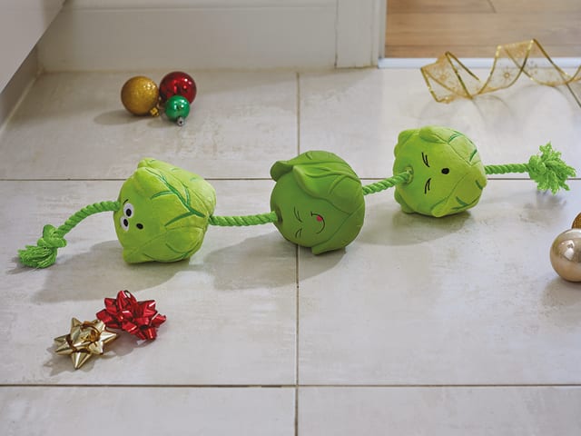 Zoon Tugga Sprouts Dog Toy