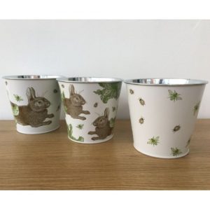 Thornback And Peel Flower Pots Rabbit And Cabbage Set Of Three