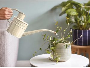 SmartGarden Home & Balcony Watering Can Ivory 1L