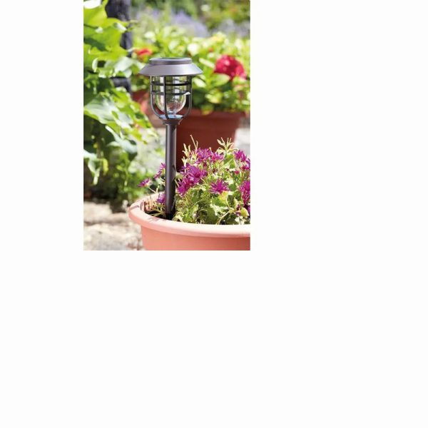SmartGarden Avant Solar Stake Light 5 Pack