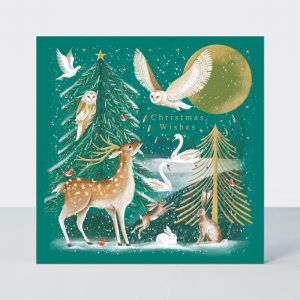 C CARDS PACK RE CHRISTMAS WISHES WILD WINTER