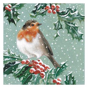 Chrsitmas Cards Boxed Frosted River Robin