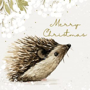 Charity Christmas Cards Hedgehog
