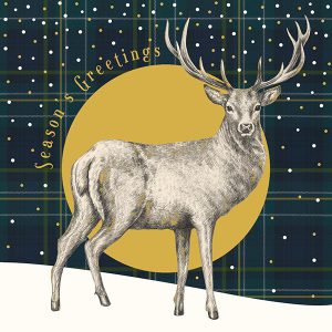 Christmas Cards Pack Stag