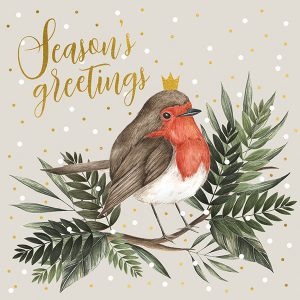 Christmas Cards Pack Seasons Greetings Robin