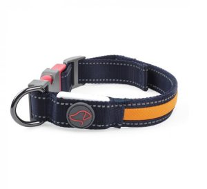 S (34cm-41cm) Flash & Go Rechargeable Night Dog Collar