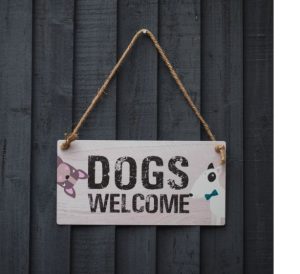 PetFun – Dogs Welcome