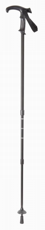 black trekking pole, adjustable, shock absorber