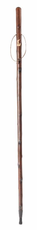 cane chestnut hiking staff shooting motif