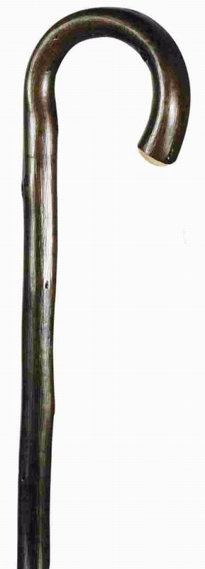 Cane Chestnut Crook