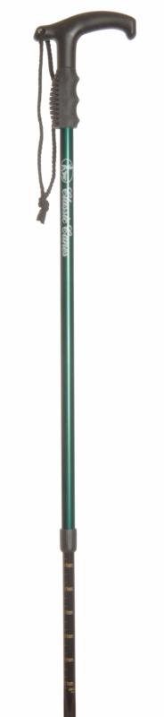 Green Trekking Pole