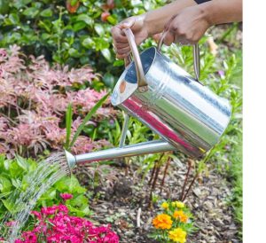 Watering Can 4.5L, Galvanised Steel