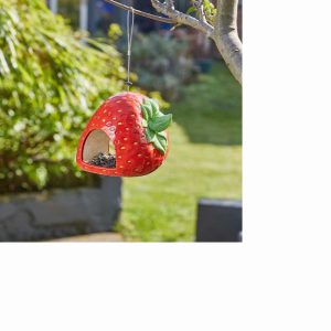 ChapelWood Strawberry Fly-Through Feeder