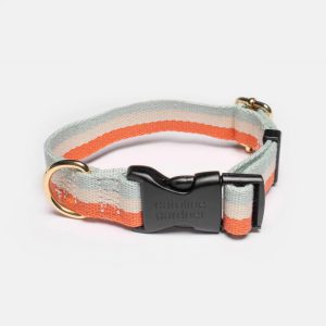 Dog Collar Orange Multi Stripe M/L