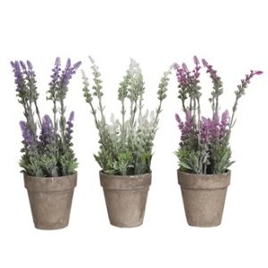 Lavender Pot 30cm