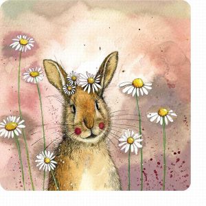 Alex Clark Rabbit And Daisies Coaster