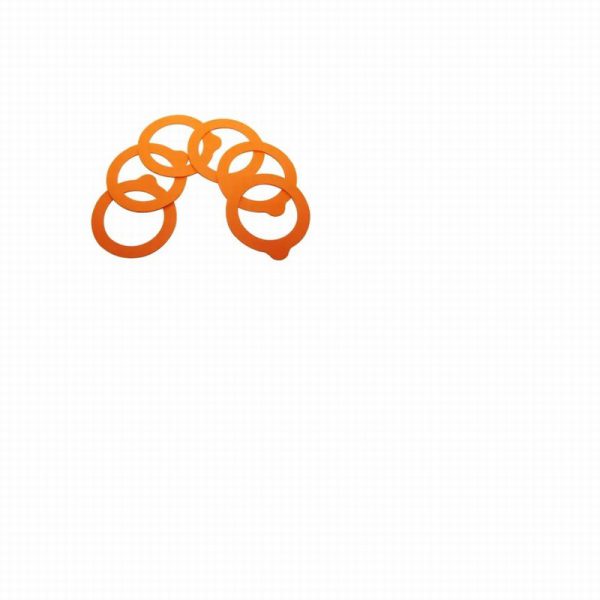 kilner rubber seals orange x 6 0025.489