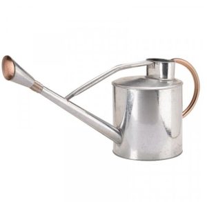 Galvanised Steel Watering Can Ergonomic Handle Watering Rose 9L